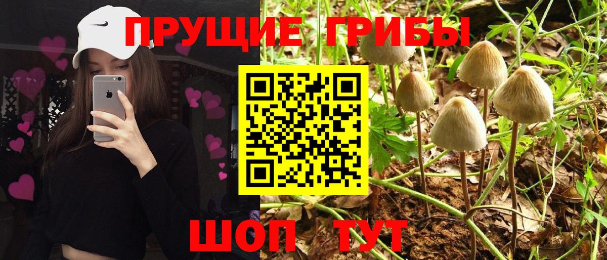 Галлюциногенные грибы прущие грибы  Вход с VPN  Калуга 